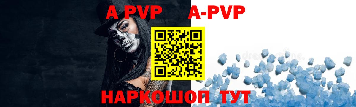 APVP СК Сегежа