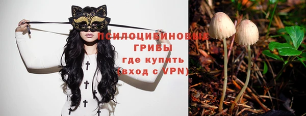 дмт Новодвинск
