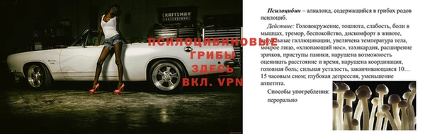 дурь Ростов