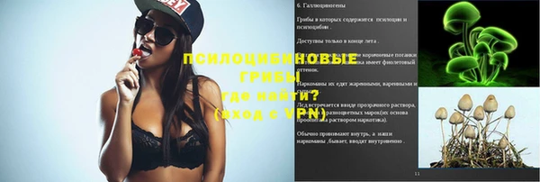 дмт Новодвинск