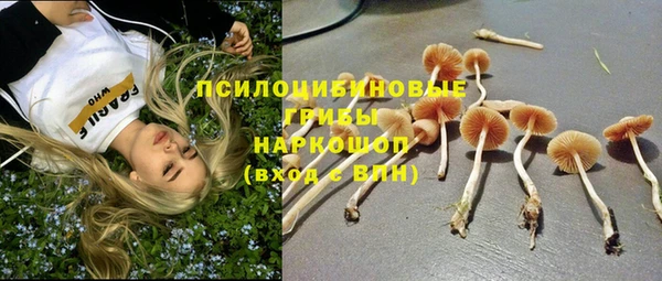 ПСИЛОЦИБИНОВЫЕ ГРИБЫ Нефтегорск