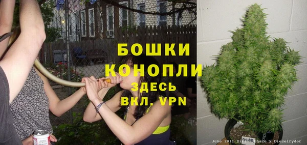 ПСИЛОЦИБИНОВЫЕ ГРИБЫ Нефтегорск