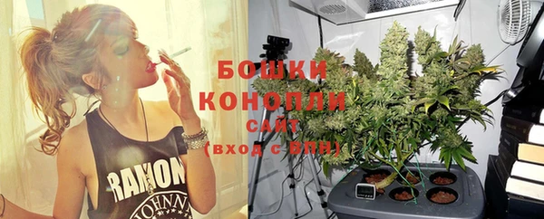дмт Новодвинск
