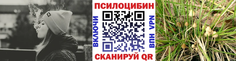 Псилоцибиновые грибы Psilocybe  blacksprut   Сегежа 